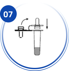 Test Procedure For High Sensitity COVID-19 Test Kit